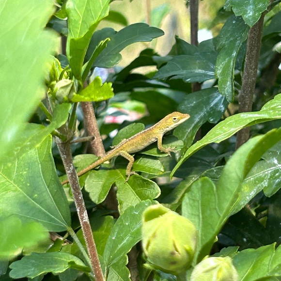 About me Photos🥳🥳❌❌ - Picture 8 of 14